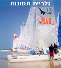 גלריה וירטואלית